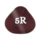 Goldwell Topchic 60ml 5R Teak