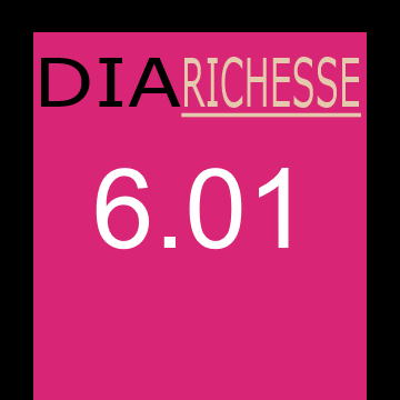 DIA RICHESSE 6 DARK BLONDE 50ml