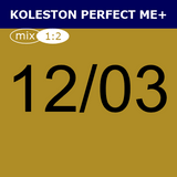 Buy Wella Koleston Perfect Me + 12/03 Special Natural Gold Blonde at Wholesale Hair Colour