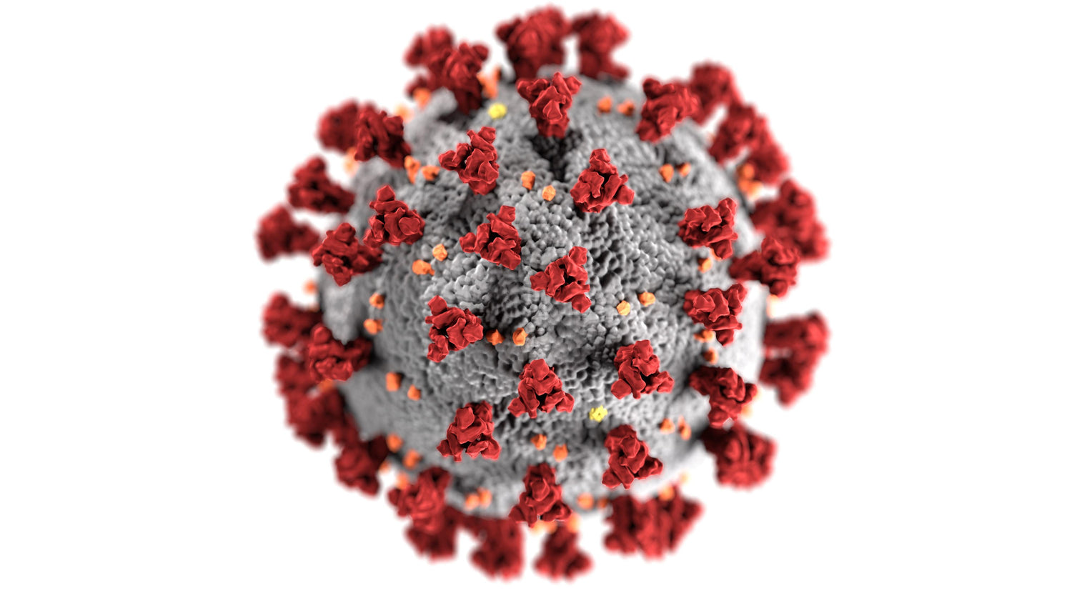 Coronavirus blog for hairdressers image