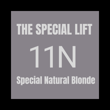 Goldwell Topchic 60ml 11N Special Natural Blonde