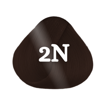 Goldwell Topchic 60ml 2N Black