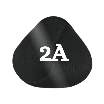 Goldwell Topchic 60ml 2A Blue Black