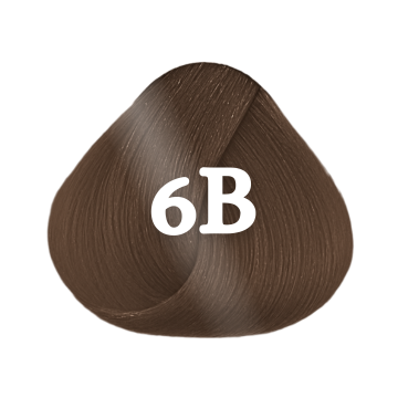 Perfect Shine Permanent Colour 6B Dark Blonde Beige 100ml