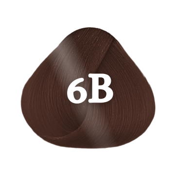 Goldwell Topchic 60ml 6B Gold Brown