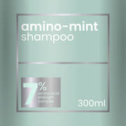 Redken Amino-Mint Shampoo 300ml