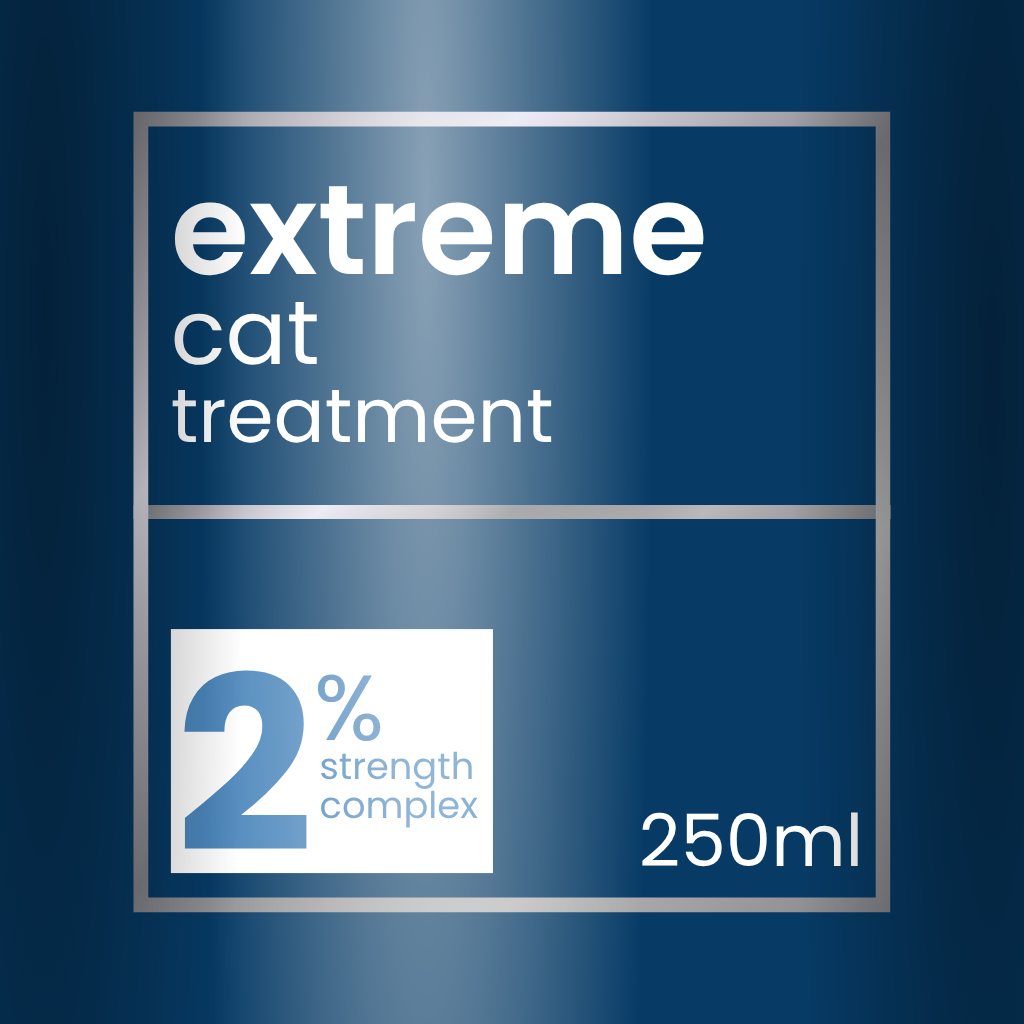 Redken Extreme CAT Protein Reconstructing Treatment 250ml