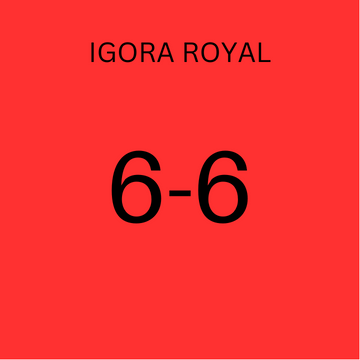 Schwarzkopf Igora Royal 6-6 Chocolate Dark Blonde