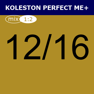 Buy Wella Koleston Perfect Me + 12/16 Special Blonde Ash Violet at Wholesale Hair Colour